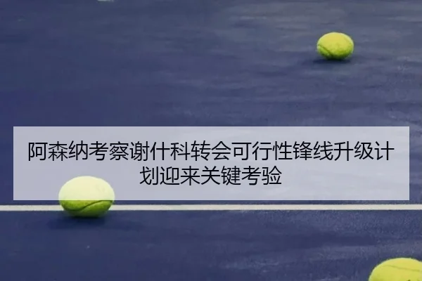 阿森纳考察谢什科转会可行性锋线升级计划迎来关键考验